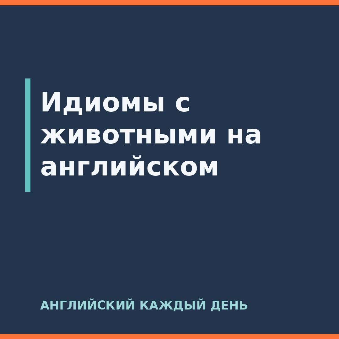 Идиомы с животными на английском