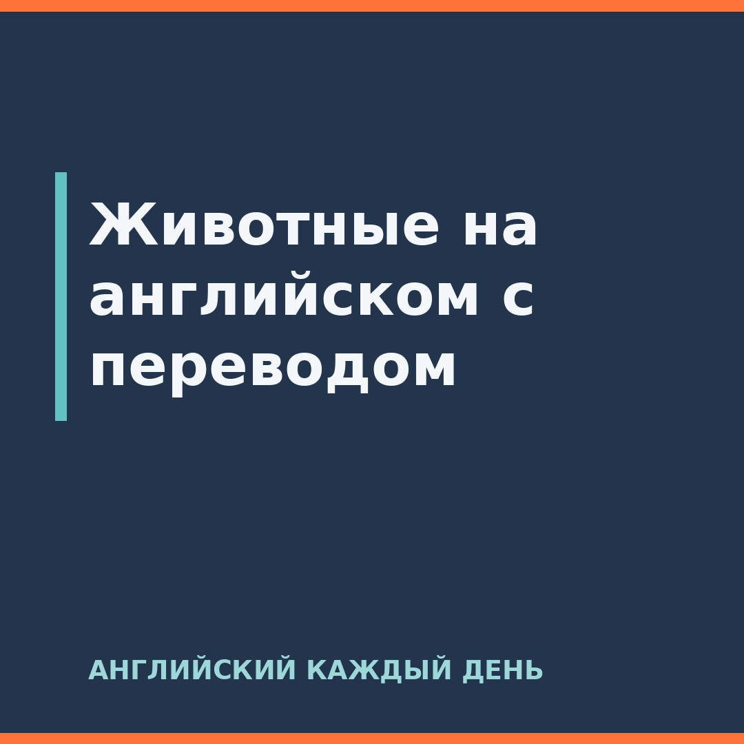 Животные на английском с переводом